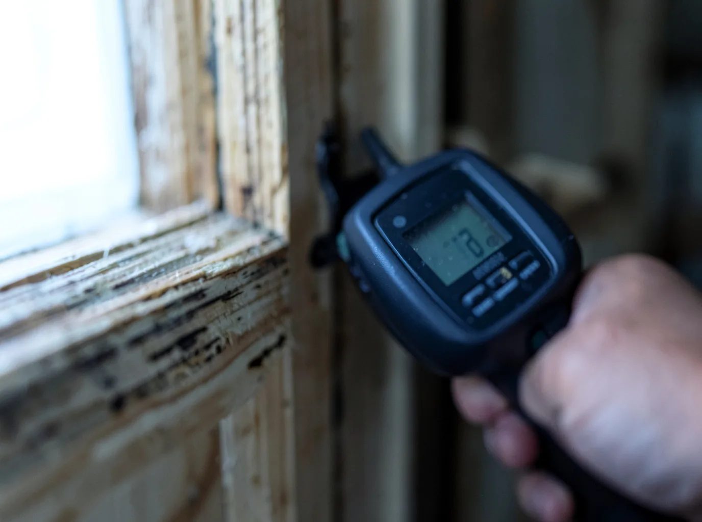 Moisture Inspection And Documentation in Houston, MN